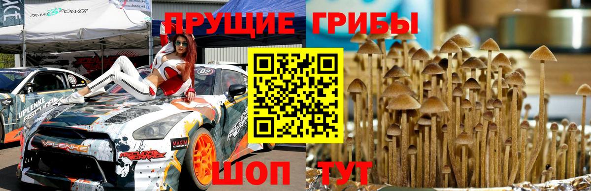Галлюциногенные грибы ЛСД  Вход с VPN  Нефтекамск  Галлюциногенные грибы Psilocybine cubensis 